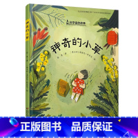 屠呦呦《神奇的小草》 [正版]神奇的小草屠呦呦中国科学家的故事绘本3-4-5-6-7-8岁幼儿园小学生阅读爱国主义阅读一