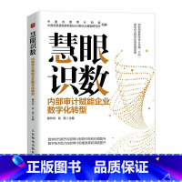 [正版]慧眼识数 内部审计赋能企业数字化转型 中国信息通信研究院云计算与大数据研究与中国内部审计协会组编 数字化赋予审