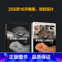 [正版]世界爬行动物图鉴 高清图鉴 全彩印刷 爬行动物鉴赏饲养指南近300个物种的图文资料科普书籍蛇龟蜥蜴变色龙养护书