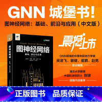 [正版]出版社 图神经网络 基础 前沿与应用 GNN城堡书图深度学习图表征学习图论自然语言处理人工智能机器学习匹配模型