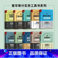 [正版]普华审计实务工具书系列指南套装10册工程工业财务金融机构数字化舞弊合规行政单位国有企业经济责任风险导向内部审计