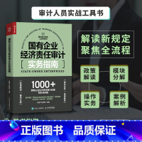 [正版]国有企业经济责任审计实务指南 国企审计工具书财务报告审计报告会计财务报表普华审计实务工具书系列