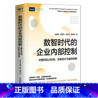 [正版]数智时代的企业内部控制 关键风险点控制流程设计与案例详解 融合大数据人工智能等信息技术 管理会计内控人员案头