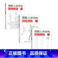 [正版]套装3册理解人体结构 绘画基础+动态训练+透视原理 人体结构绘画教学理解人体形态素描速写教程透视技法解剖动态自