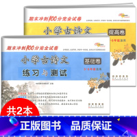 [正版]2册 新版小学古诗文练习与测试基础卷+提高卷三四五六 68所名校小学生3456年级期末冲刺100分完全试卷古文