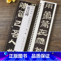 [正版]张迁碑隶书字帖书法临摹字卡原大版汉代经典碑帖近距离对临入门活页原碑原帖附简体旁注