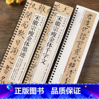 [正版]宋徽宗瘦金体字帖宋代赵佶经典碑帖书法临摹字卡瘦金体楷书千字文墨迹秾芳诗帖原帖毛笔硬笔通用字帖初学者成人初中生练