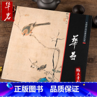 [正版]中国画大师经典系列丛书·华嵒 华岩花鸟画集画册 技法中国画 艺术图书书籍