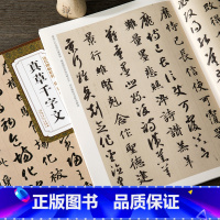 [正版]隋智永真草千字文 历代碑帖精粹 简体旁注 真书楷书草书千字文书法毛笔字帖