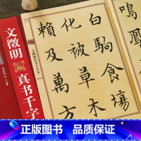 [正版]文徵明真书千字文放大版 中国历代名碑名帖放大本系列 文征明毛笔楷书碑帖书法字帖 碑帖书法练字书籍 简体旁注 黑