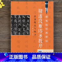 [正版]褚遂良雁塔圣教序硬笔临经典碑帖实用书法与练习 钢笔硬笔楷书练字帖陈侃编