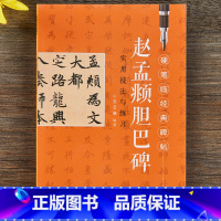 [正版]硬笔临经典碑帖 赵孟頫胆巴碑 江西美术出版社 实用技法与练习经典字帖 硬笔楷书书法入门教程 钢笔字帖田字格