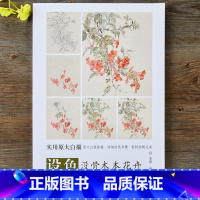 [正版]设色没骨木本花卉 实用原大白描画稿 设色步骤彩稿国画工笔画临摹白描底稿 工笔画入门写意工笔画画法技法全解天津杨