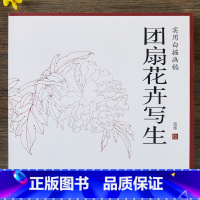 [正版]团扇花卉写生 实用白描画稿 苗炜绘 天津杨柳青画社 国画技法46幅作品集花卉画白描技法技巧初学绘画入门基础范本