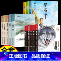 [全13册]狼王梦+草房子+曹文轩画册 [正版]全套5册狼王梦沈石溪动物小说画本系列全集小学生三四五六年级下册狼王梦漫画