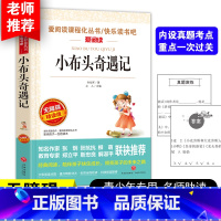 小布头奇遇记 [正版]小布头奇遇记孙幼军 三年级必读四年级课外阅读书籍老师经典书目 班主任读物小学生二年级非注音版小布头