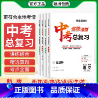 语文.安徽版 安徽省 [正版]2024春安徽专版名校课堂中考总复习火线100天语文数学英语物理化学历史道德七八九年级中考