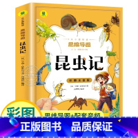 昆虫记 [正版]法布尔昆虫记 彩绘注音版 小学生二年级课外必阅读书籍 儿童科普读物故事书老师经典书目一二三年级幼儿百科书