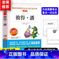 彼得潘 [正版]彼得潘书 小学生课外书必读书籍 老师三四五六年级阅读的语文名著经典书目 儿童故事读物 爱阅读课程化丛书