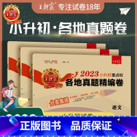 [各地真题]语数英3本-全国通用 小学升初中 [正版]2023新版小升初真题卷王朝霞刷重点学校语文数学英语各地真题精编卷