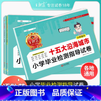 语文数学英语3本套装 小学通用 [正版]2023新小升初城市卷十五大城市小学毕业检测指导卷真题初中招生考试语文数学英语各