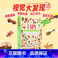 [正版]视觉大发现13册 I Spy Reader Collection 英文原版绘本手眼协调英文单字词汇学习奇妙益智