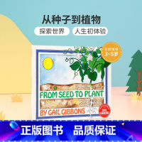 [正版]英文原版进口 From Seed to Plant 从种子到植物 3-5岁低幼儿童英语启蒙认知绘本 亲子互动共