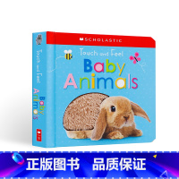 [正版]英文原版进口Touch and Feel Baby Animals (Scholastic Early Lea