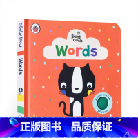 [正版]英文原版 Baby Touch: Words 触摸书 玩玩书 宝宝大开本纸板触摸书 开拓思维 英文启蒙 3-6