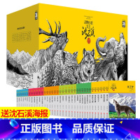 [正版]全36册 沈石溪品藏书系动物小说全集 狼王梦沈石溪的书全套系列第七条猎狗 雪豹悲歌 9-10-12-15岁 小