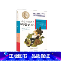 威伦历险记2·明暗之水 [正版]国际安徒生奖大奖书系第三辑全套8册冒傻气的傻丫头臭爸爸香爸爸 文学国外获奖名著小学生课外