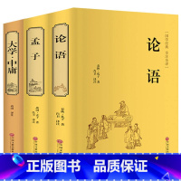 [正版]硬壳精装四书版 大学中庸论语孟子 四书五经国学书籍全套论语国学好书中国哲学伦语孔子书籍译注书籍