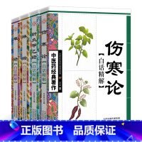 [正版]中医药经典系列全套4册 伤寒论针灸甲乙经脉经难经白话精解中医名家医学中医针灸诊脉自学入门书籍临床应用理论与实践