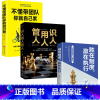 [正版]全套3册 不懂带团队你就自己累管人用人识人胜在执行赢在制度企业公司团队管理的常识创业制度提升沟通经营管理类书籍