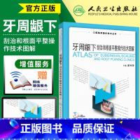 [正版]牙周龈下刮治和根面平整操作技术图解口腔临床操作技术丛书牙周组织应用解剖龈下喷砂术内镜辅助治疗书籍潘亚萍编人民卫