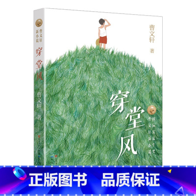 穿堂风 [正版]穿堂风 曹文轩系列儿童文学 草房子青铜葵花作者著 6-8-9-12周岁小学生课外阅读物书籍 少年儿童小说