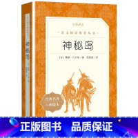 神秘岛 [正版]神秘岛 书 儒勒凡尔纳著 世界文学名著书籍经典原著原版 中小学生课外阅读书目 语文阅读书籍 人民文学