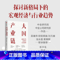 [正版]大国产业链 新格局下的宏经济观与行业趋势 中金公司研究部 等著 吴基传 欧阳明高 刘元春 龙永图 黄朝晖联袂