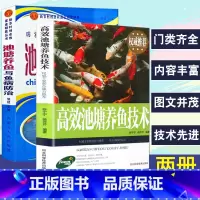 [正版]2册高效池塘养鱼技术与鱼病防治诊断及治疗科学生态养鱼淡水鱼类水产养殖技术书籍大全繁育饲养管理教程饲料配方池塘网