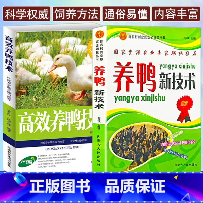 [正版]2册高效养鸭新技术鸭病治疗全书家禽养殖资料养鸭书籍大全技术书常见疾病病防治实用手册畜牧兽医专业养鸡鸭鹅饲料农业