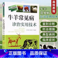 [正版]牛羊常见病诊治实用技术 养羊技术书籍大全 养牛技术羊病综合全书科学兽医山羊专业养殖书肉羊饲养羊病牛病类症鉴别诊