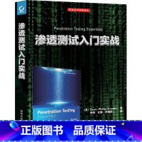 [正版]渗透测试入门实战 计算机系统漏洞技术基础 轻松学习渗透测试教程书籍 网络安全技术书籍 计算机加密解密黑客攻防技