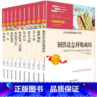 10册无障碍阅读中小学生世界名著 [正版]全10册初中小学生世界名著书籍青少年版套装爱的教育钢铁是怎样炼成的童年老人与海