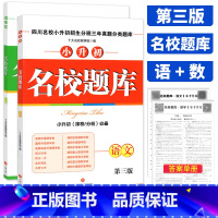 [正版]四川十大名校小升初名校题库语文数学全套招生分班三年真题分类题库小升初系统总复习六年级小考成都绵阳名校考题高频考