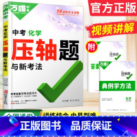 [正版]2024化学压轴题物质的转化与推断实验探究题专项训练 初中化学辅导书初三中考化学复习资料九年级化学练习题模拟真