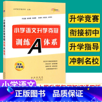 [正版]全国68所名牌小学语文升学夺冠训练A体系 完全升级版小升初语文总复习资料小考语文专项训练升学夺冠知识大集结小升