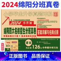 [正版]2024版绵阳四大名校入学真卷语文小升初分班真题卷2023绵阳市八大名校入学招生考试真题详解东辰英才南山外国语