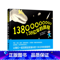 138亿年的旅程(精) [正版]书店 138亿年的旅程(精) (日)坂井治 上海译文出版社 9787532786473