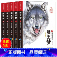 [沈石溪]狼王梦画本(5册) [正版]5册 狼王梦 沈石溪动物小说大王狼王梦画本珍藏版完整版漫画版小学生三四五六年级课外