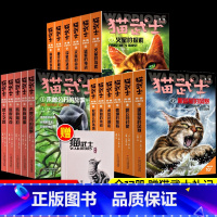 猫武士外传 长篇12册+短篇5册 共17册 [正版]猫武士外传长篇小说12册火星的探索 天族的命运钩星的承诺 黄牙的秘密